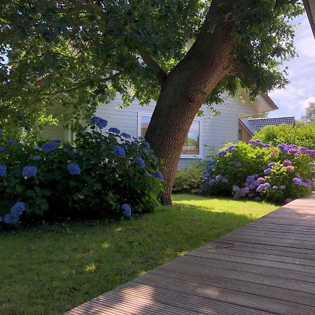 Idyllic Lakehouse - Dog Is Welcome Fenced Garden Apartment ฮาเรน ภายนอก รูปภาพ