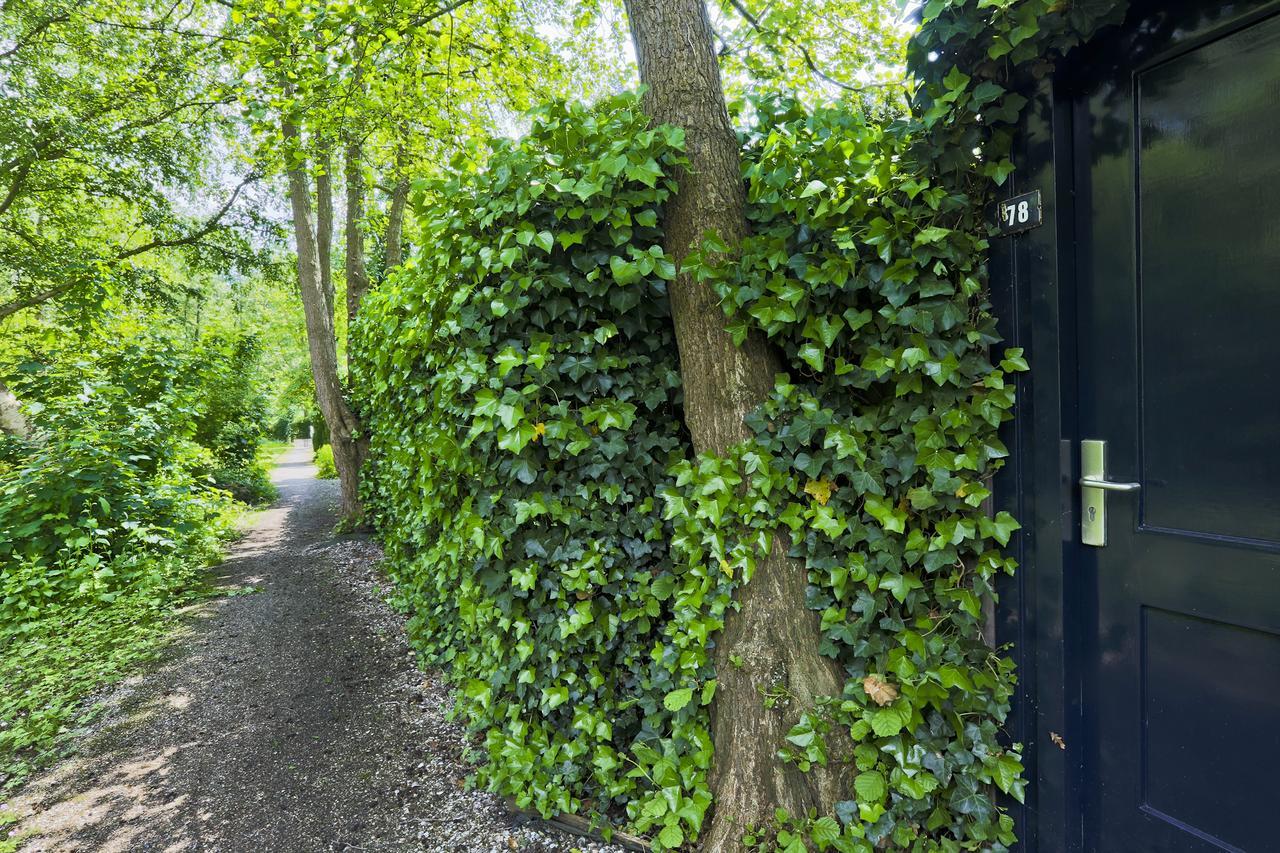 Idyllic Lakehouse - Dog Is Welcome Fenced Garden Apartment ฮาเรน ภายนอก รูปภาพ